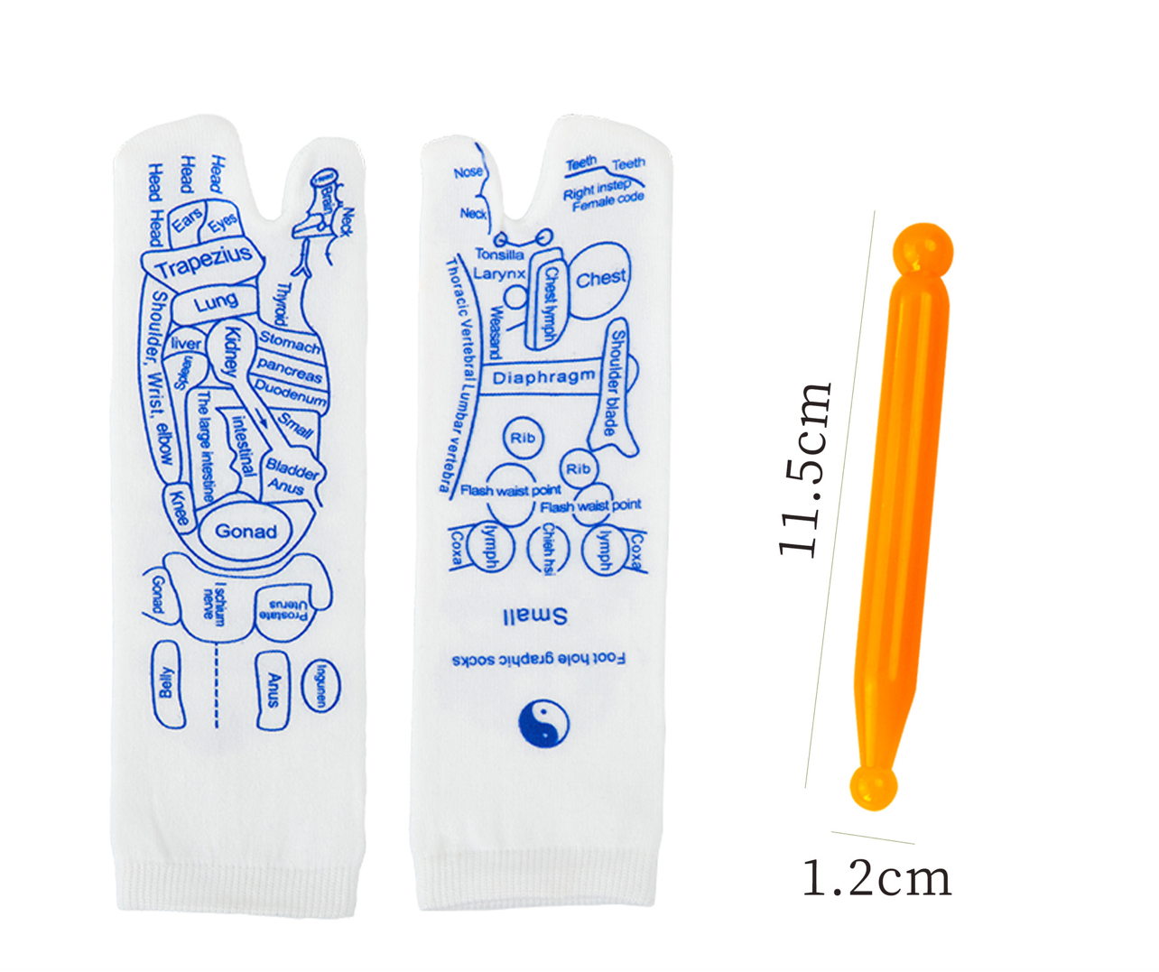 0005.足裏反射区・経絡ツボを図解した足つぼマッサージソックス