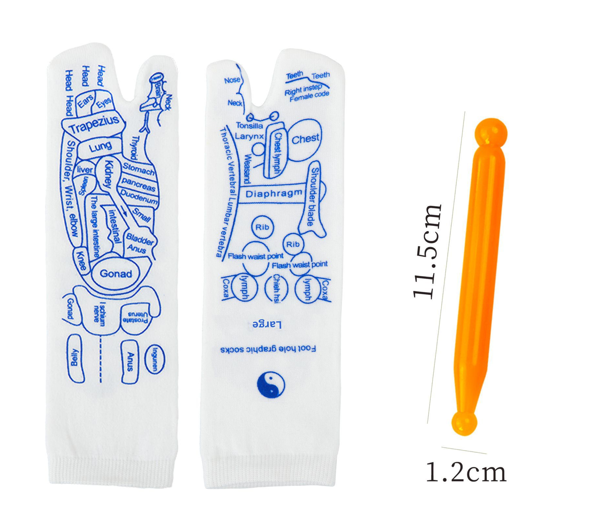 0005.足裏反射区・経絡ツボを図解した足つぼマッサージソックス