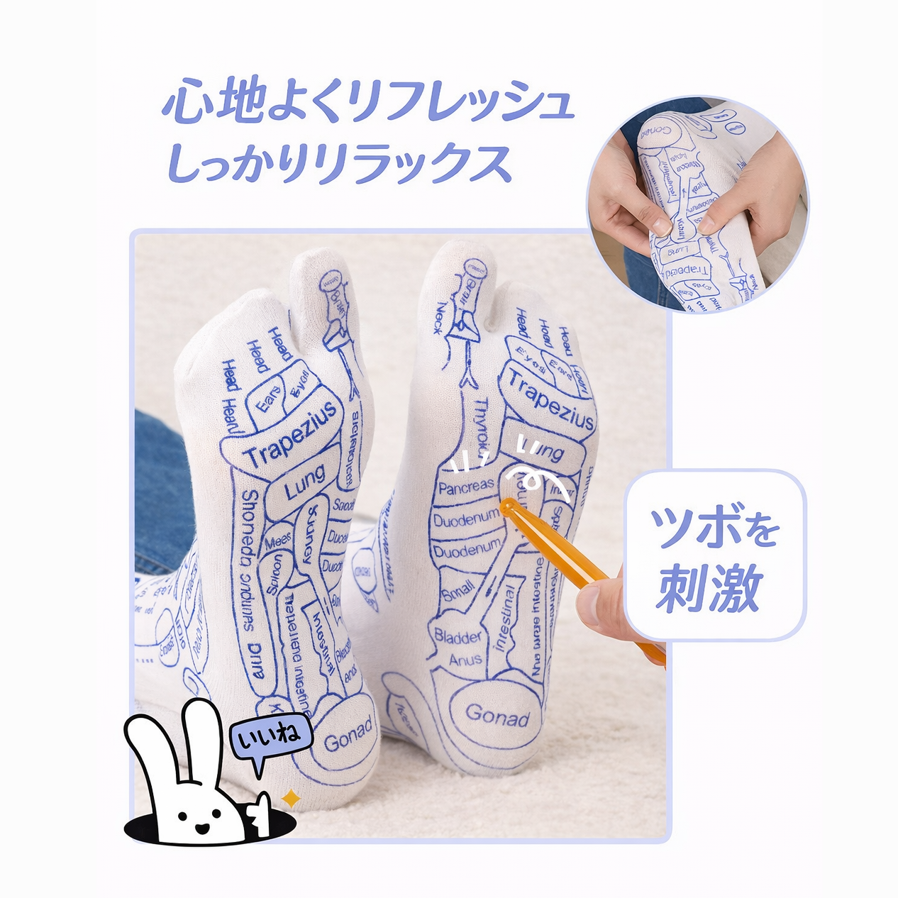 0005.足裏反射区・経絡ツボを図解した足つぼマッサージソックス